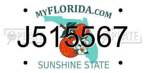 J515567 Florida License Plate