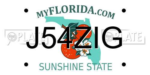 J54ZIG Florida License Plate
