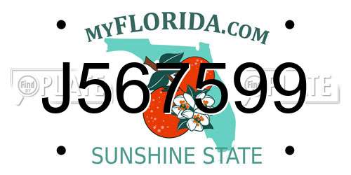 J567599 Florida License Plate