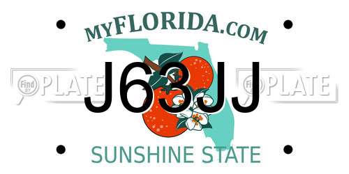 J63JJ Florida License Plate