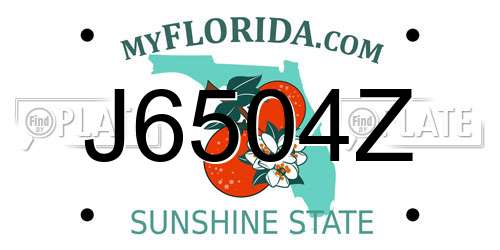 J6504Z Florida License Plate