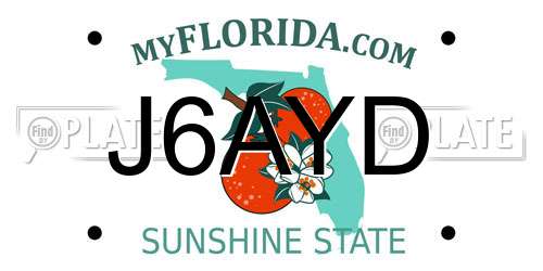 J6AYD Florida License Plate