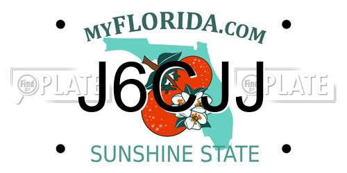 J6CJJ Florida License Plate