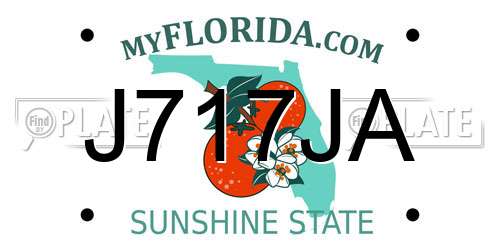 J717JA Florida License Plate