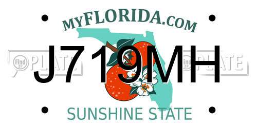 J719MH Florida License Plate