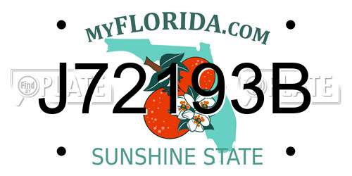 J72193B Florida License Plate