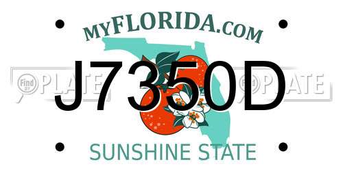 J7350D Florida License Plate