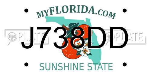 J738DD Florida License Plate