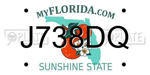 J738DQ Florida License Plate