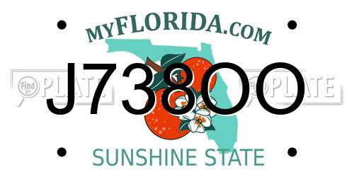 J738OO Florida License Plate
