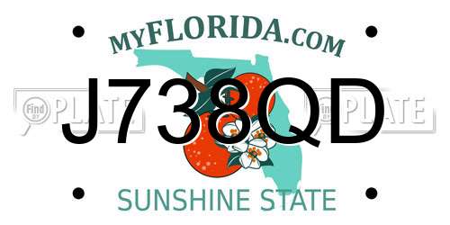 J738QD Florida License Plate