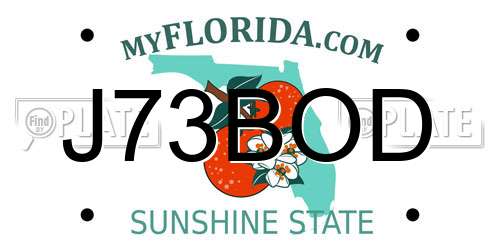 J73BOD Florida License Plate