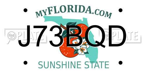 J73BQD Florida License Plate
