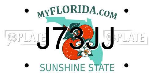 J73JJ Florida License Plate