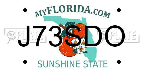 J73SDO Florida License Plate