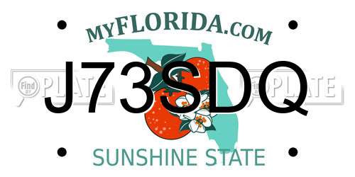 J73SDQ Florida License Plate