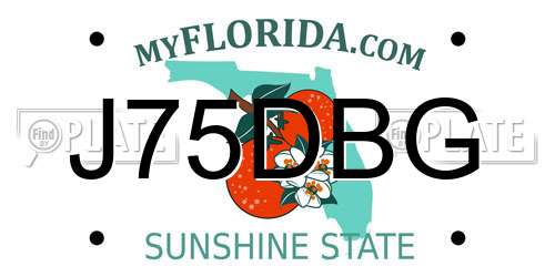 J75DBG Florida License Plate
