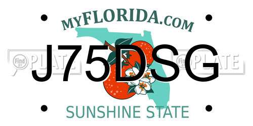 J75DSG Florida License Plate