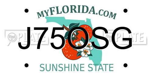 J75OSG Florida License Plate