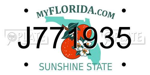 J771935 Florida License Plate