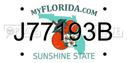J77193B Florida License Plate