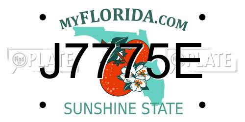 J7775E Florida License Plate