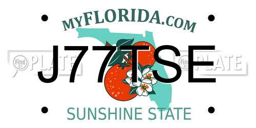 J77TSE Florida License Plate