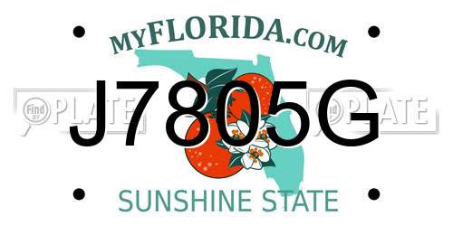 J7805G Florida License Plate