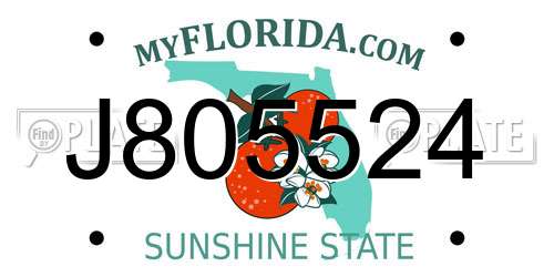 J805524 Florida License Plate