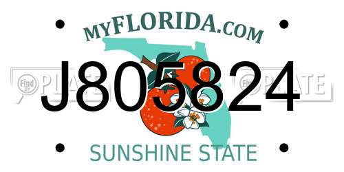 J805824 Florida License Plate