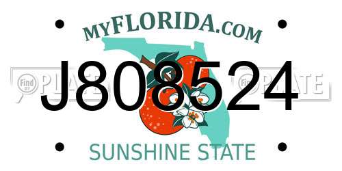 J808524 Florida License Plate