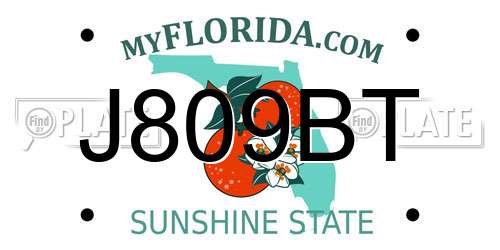 J809BT Florida License Plate