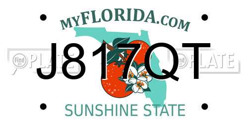 J817QT Florida License Plate