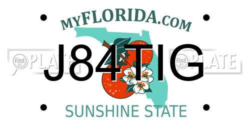 J84TIG Florida License Plate