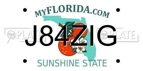 J84ZIG Florida License Plate