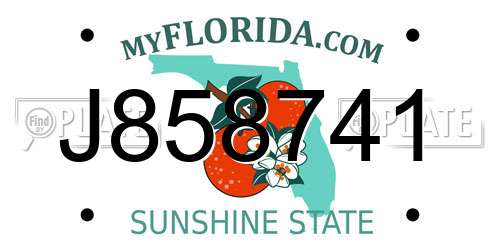 J858741 Florida License Plate