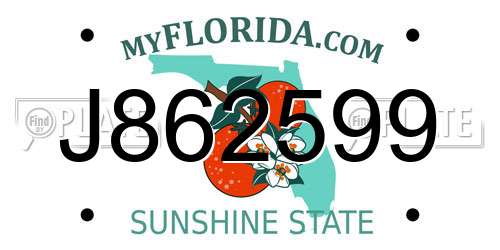 J862599 Florida License Plate