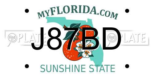 J87BD Florida License Plate
