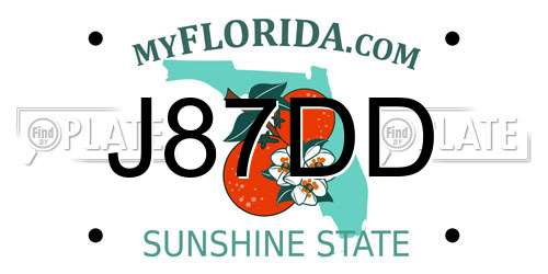 J87DD Florida License Plate