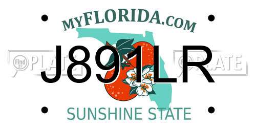 J891LR Florida License Plate