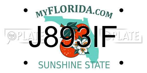 J893IF Florida License Plate