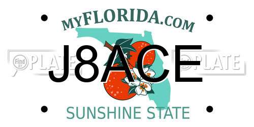 J8ACE Florida License Plate