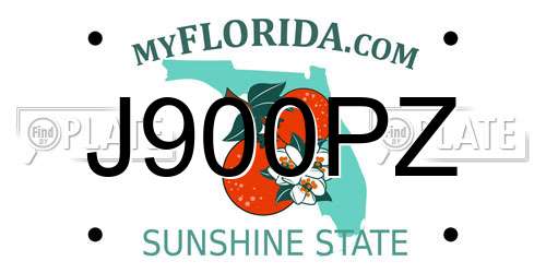 J900PZ Florida License Plate