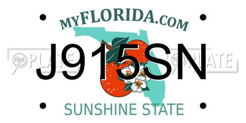 J915SN Florida License Plate