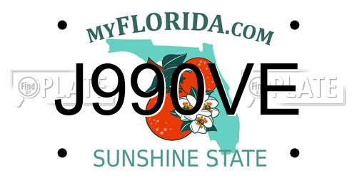 J990VE Florida License Plate