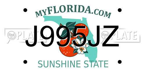 J995JZ Florida License Plate