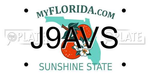 J9AVS Florida License Plate