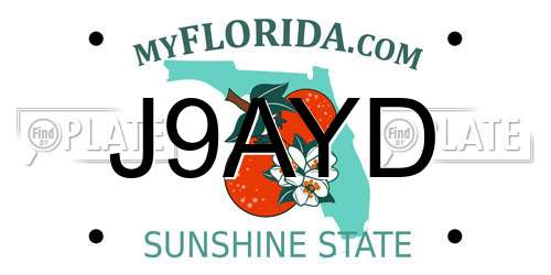 J9AYD Florida License Plate