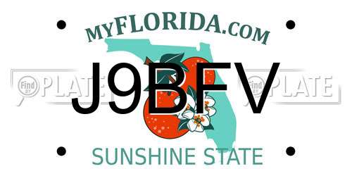 J9BFV Florida License Plate