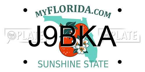 J9BKA Florida License Plate
